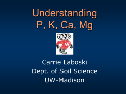 Understanding Soil Phosphorus - Soil Science at UW
