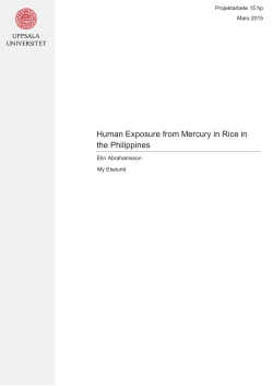 Human Exposure from Mercury in Rice in the Philippines