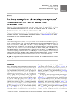 Antibody recognition of carbohydrate epitopes
