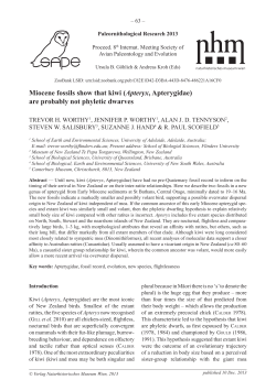 Miocene fossils show that kiwi (Apteryx, Apterygidae) are probably