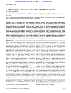 A revised model for the secretion of tPA and