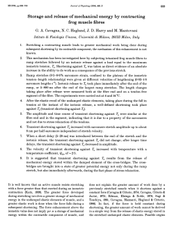 Storage and release of mechanical energy by contracting frog