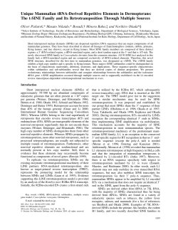 The t-SINE Family and Its Retrotransposition Through Multiple