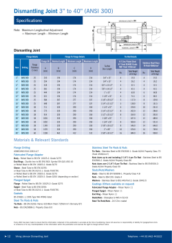 Dismantling Joint 3&rdquo; to 40&rdquo; (ANSI 300)