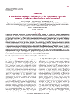 A behavioral perspective on the biophysics of the light