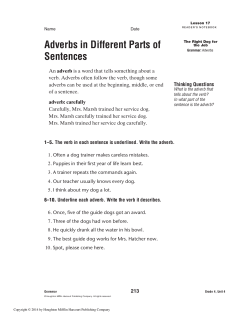 Adverbs in Different Parts of Sentences