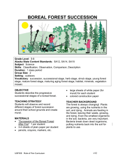 BOREAL FOREST SUCCESSION