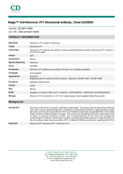 Magic&trade; Anti-Norovirus VP1 Monoclonal antibody, Clone N230650