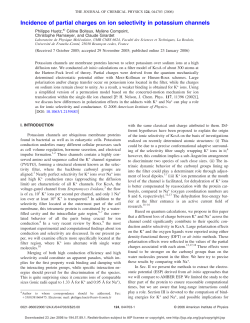 Incidence of partial charges on ion selectivity in potassium channels