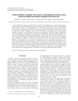 Characterizing modern and fossil gymnosperm exudates using