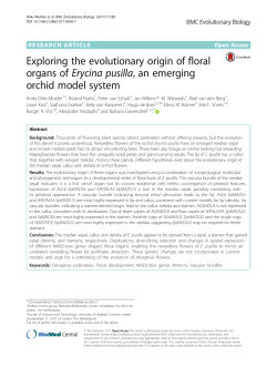 Exploring the evolutionary origin of floral organs of