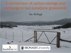 A comparison of carbon storage and exchange in two subalpine