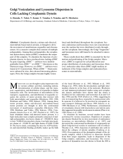 Golgi Vesiculation and Lysosome Dispersion in Cells Lacking