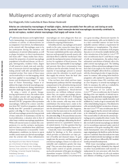 Multilayered ancestry of arterial macrophages