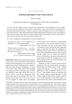 slipper orchids in art and science