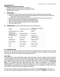 Lab Exercise #3b Identification of Unknown Bacteria