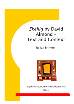 Skellig by David Almond &ndash; Text and Context