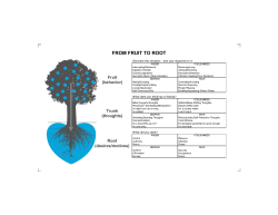 Fruit to Root - Harvest Small Groups