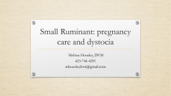 Dr. Melissa Housley`s PowerPoint on Small Ruminant Pregnancy