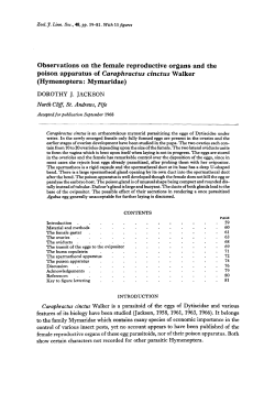 Observations on the female reproductive organs and the poison