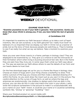 examine your faith