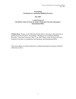 Constitution Writing Conference Charts:-