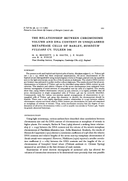 THE RELATIONSHIP BETWEEN CHROMOSOME VOLUME AND
