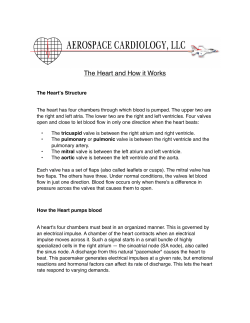 The Heart and How it Works