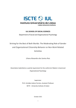 Striving for the Best of Both Worlds - Reposit&oacute;rio do ISCTE-IUL