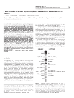 Characterization of a novel negative regulatory element in
