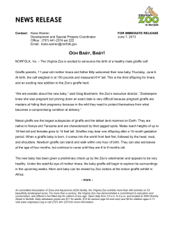 Ooh Baby, Baby &ndash; Giraffe