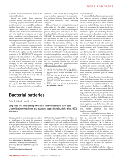Bacterial batteries