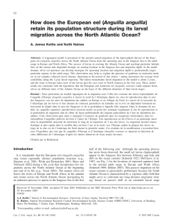 How does the European eel (Anguilla anguilla) retain its population