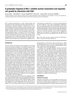 A proteolytic fragment of Mcl-1 exhibits nuclear localization and