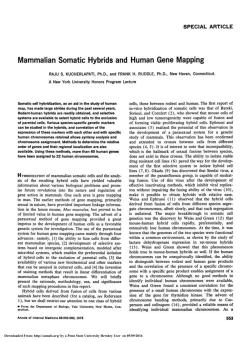Mammalian Somatic Hybrids and Human Gene Mapping