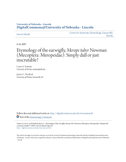 Etymology of the earwigfly, Merope tuber Newman (Mecoptera