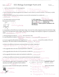 2016 Bio Scavenger Hunt KEY
