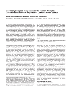 Electrophysiological Responses in the Human Amygdala