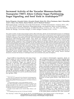 Increased Activity of the Vacuolar Monosaccharide Transporter
