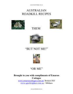 australian roadkill recipes them &ldquo;but not me!&rdquo; &ldquo;or me&rdquo;
