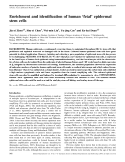 Enrichment and identification of human `fetal` epidermal stem cells
