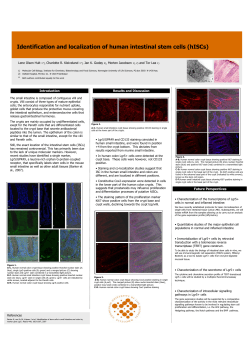 Identification and localization of human intestinal stem cells (hISCs)
