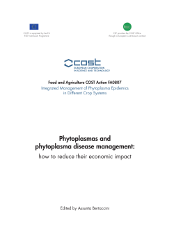 Phytoplasmas and phytoplasma disease management