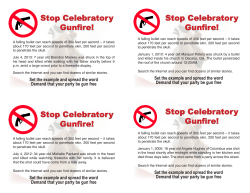 Celebratory Gunfire Flyer