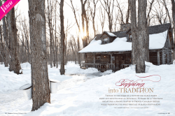 Tapping - Sucrerie de la Montagne