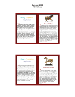 Summer 2008 - The Trail of Painted Ponies