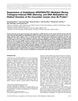 Suppression of Arabidopsis ARGONAUTE1