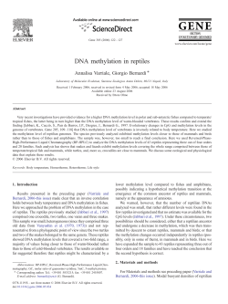 DNA methylation in reptiles