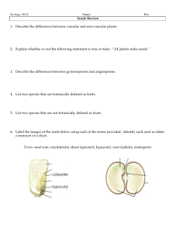 Seeds Review 1. Describe the differences between vascular and