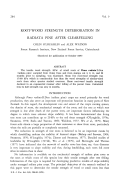 root-wood strength deterioration in radiata pine